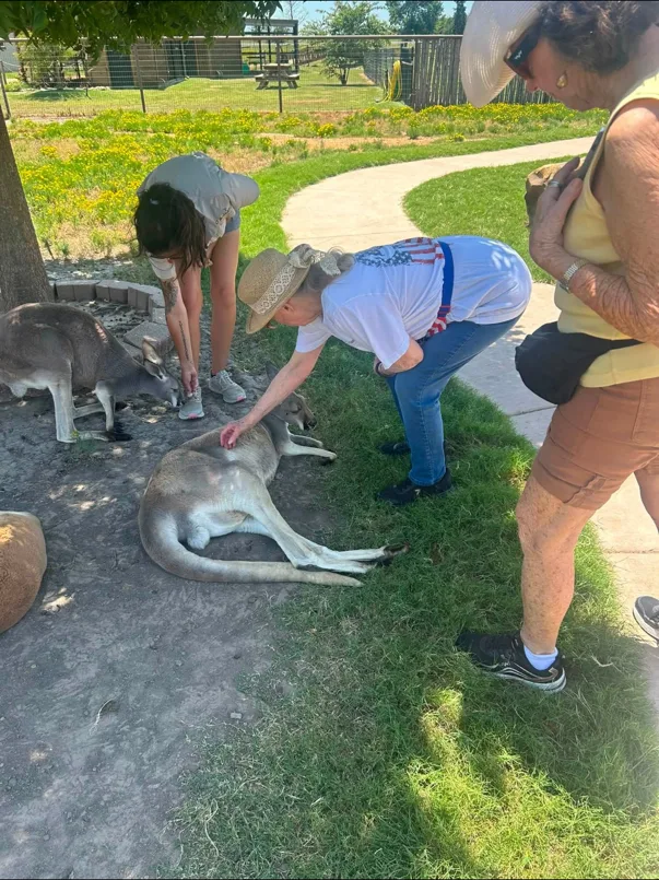 Kangaroo Encounter Outing